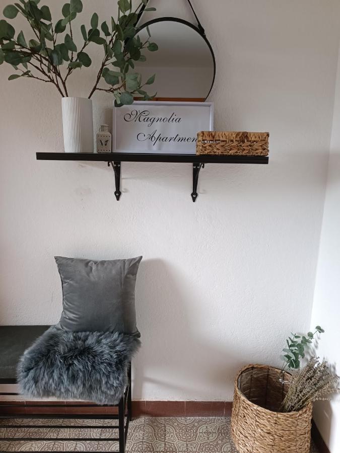 Magnolia Apartment - Free Private Parking Lubiana Esterno foto